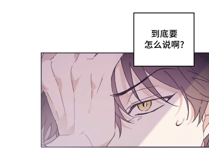 《猫的项圈》漫画最新章节第38话_喜欢你啊免费下拉式在线观看章节第【6】张图片