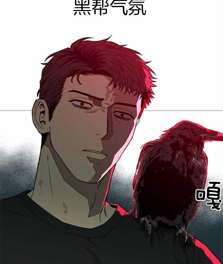 《当杀手痴迷追星》漫画最新章节第8话_感兴趣的人免费下拉式在线观看章节第【2】张图片