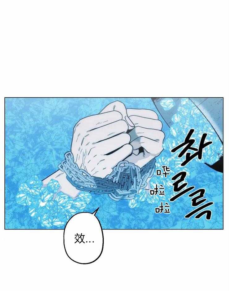 《当杀手痴迷追星》漫画最新章节第10话_做实验免费下拉式在线观看章节第【7】张图片