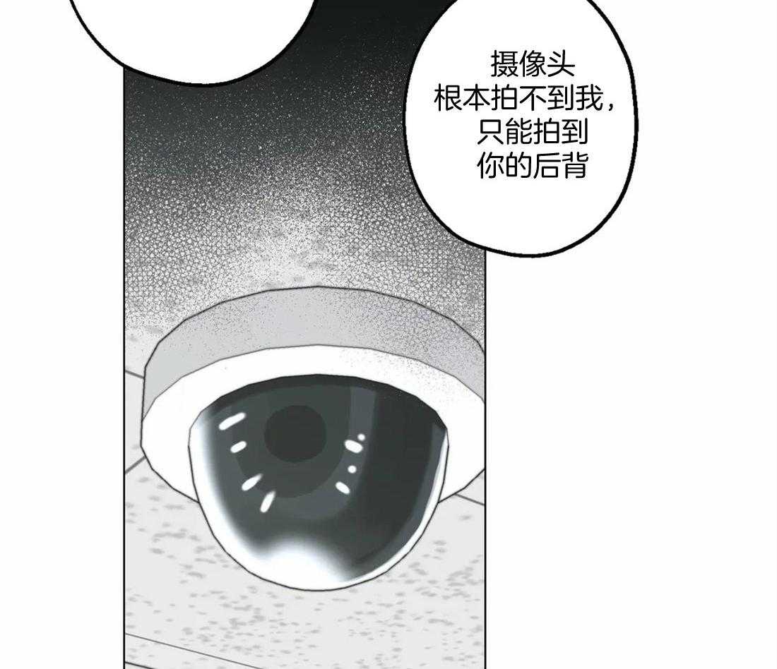 《当杀手痴迷追星》漫画最新章节第20话_调查监控免费下拉式在线观看章节第【5】张图片