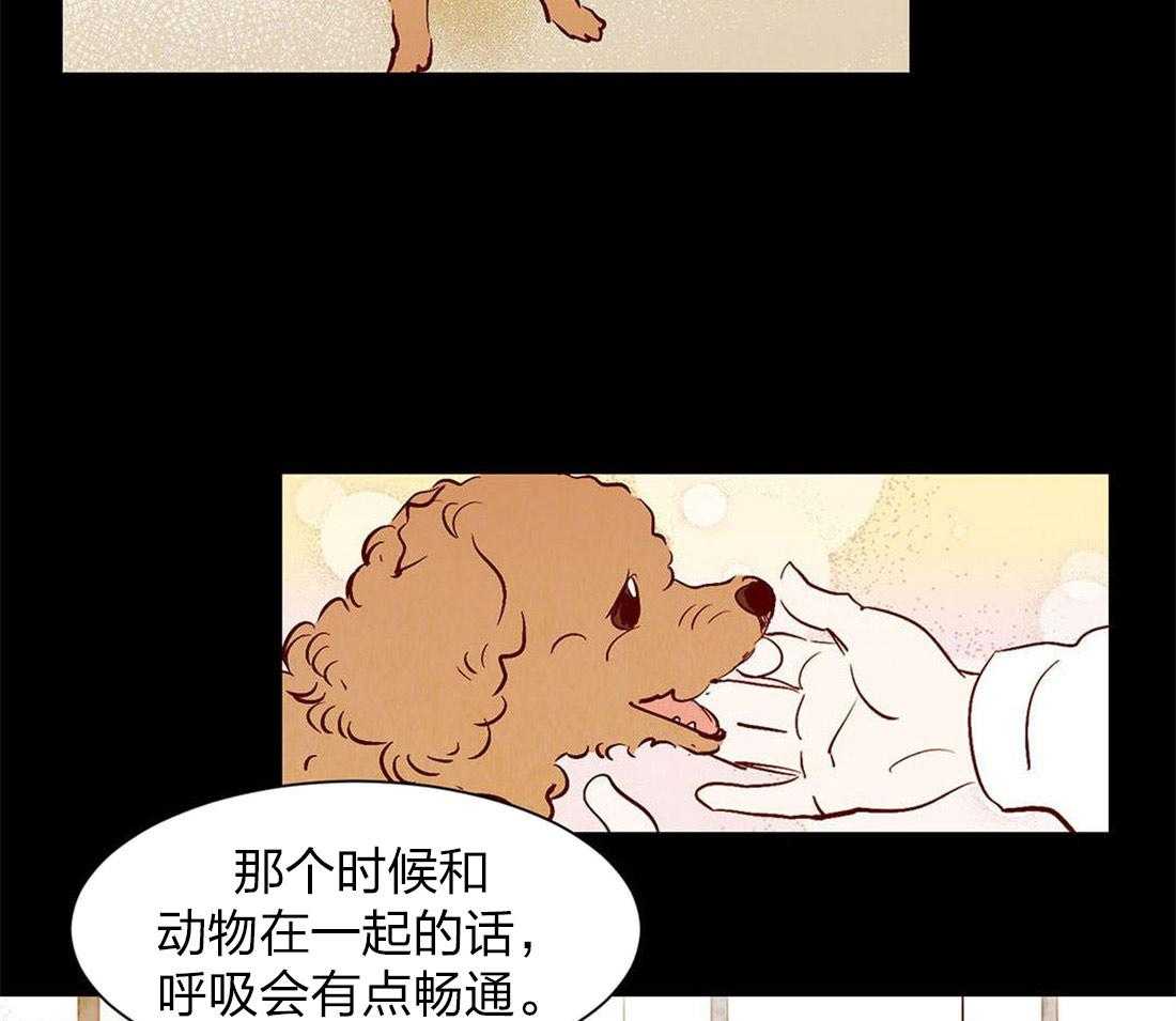 《龙的逆鳞》漫画最新章节第55话_当兽医的契机免费下拉式在线观看章节第【13】张图片