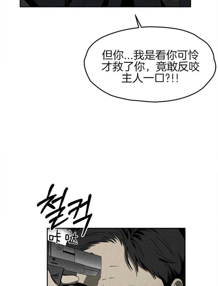 《毒蛇》漫画最新章节第11话_窒息的真相免费下拉式在线观看章节第【19】张图片