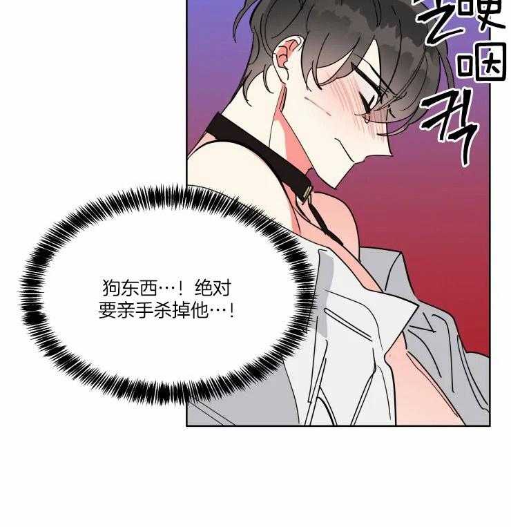 《可遇不可求》漫画最新章节第48话_强制免费下拉式在线观看章节第【1】张图片