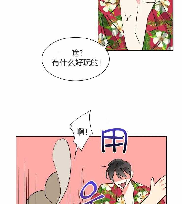 《可遇不可求》漫画最新章节第56话_蜜月旅行免费下拉式在线观看章节第【3】张图片