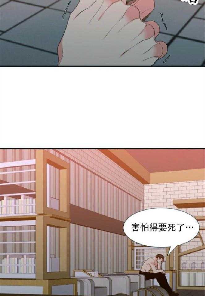 《恋爱等级》漫画最新章节第37话_37免费下拉式在线观看章节第【5】张图片