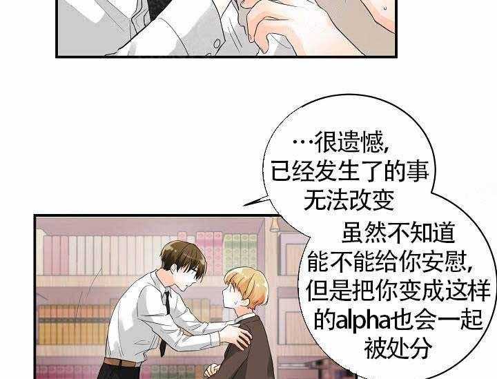 《Alpha的秘密》漫画最新章节第7话_Omega的悲哀免费下拉式在线观看章节第【28】张图片