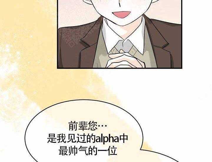 《Alpha的秘密》漫画最新章节第10话_最帅气的Alpha免费下拉式在线观看章节第【21】张图片