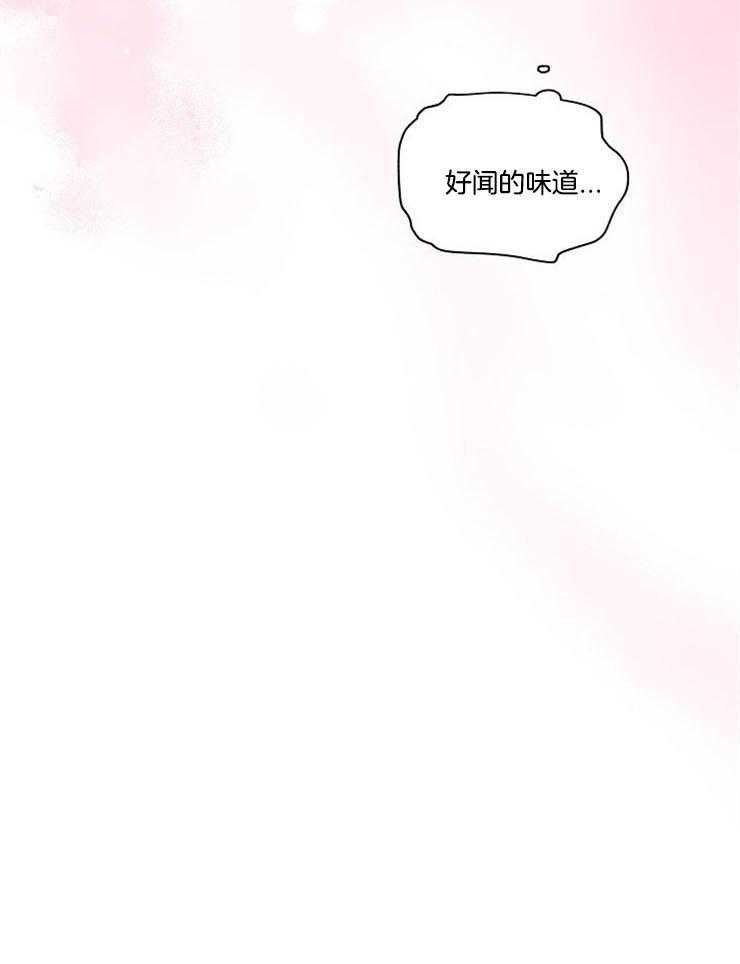 《Alpha的秘密》漫画最新章节第21话_熟悉的香味免费下拉式在线观看章节第【12】张图片