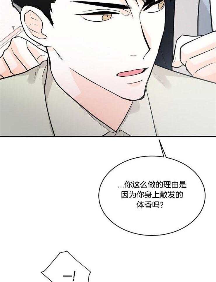 《Alpha的秘密》漫画最新章节第21话_熟悉的香味免费下拉式在线观看章节第【21】张图片