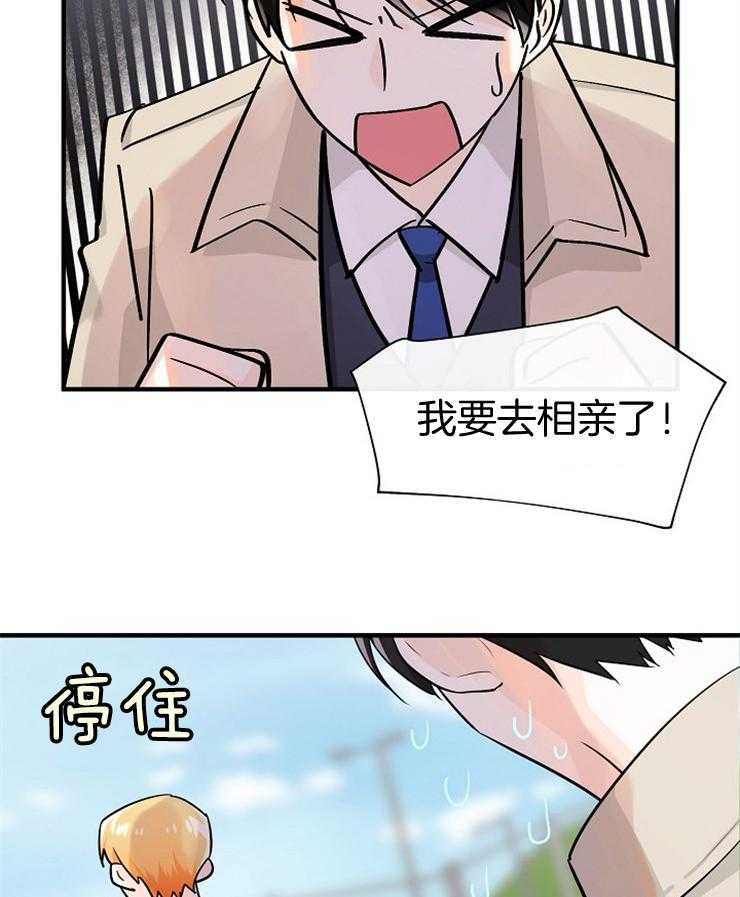 《Alpha的秘密》漫画最新章节第73话_我要相亲了免费下拉式在线观看章节第【6】张图片