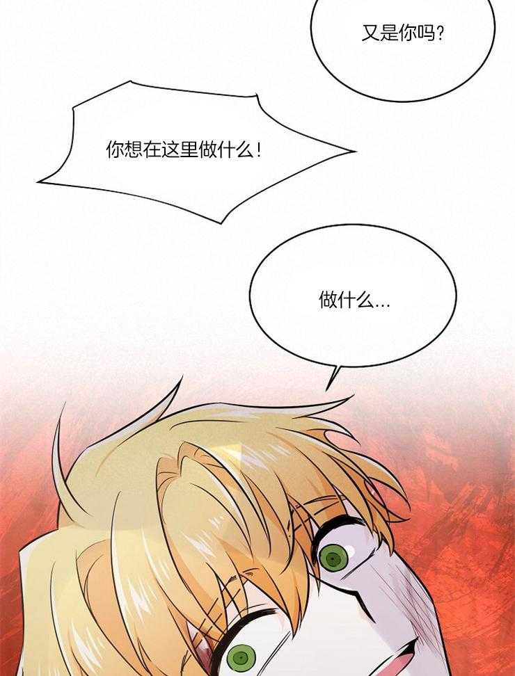 《Alpha的秘密》漫画最新章节第89话_他是Omega免费下拉式在线观看章节第【13】张图片