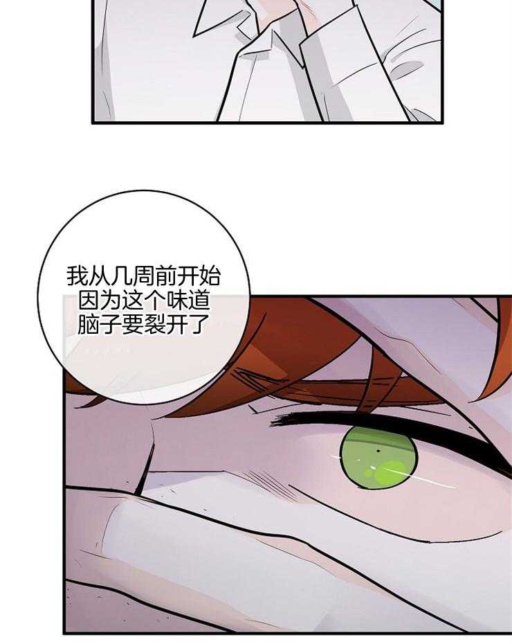 《Alpha的秘密》漫画最新章节第97话_流言免费下拉式在线观看章节第【7】张图片