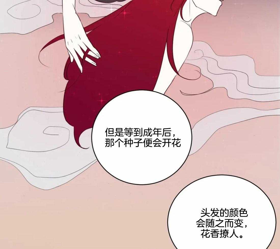 《月夜花院》漫画最新章节第1话_花人免费下拉式在线观看章节第【3】张图片