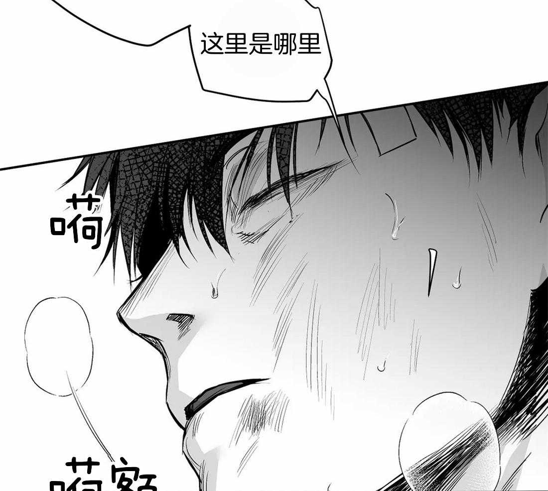 《寸步难行》漫画最新章节第115话_对不起受伤了免费下拉式在线观看章节第【43】张图片