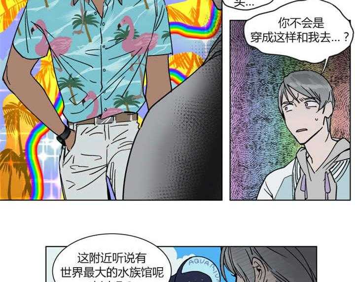 《私人绯闻》漫画最新章节第17话_一起去水族馆免费下拉式在线观看章节第【19】张图片