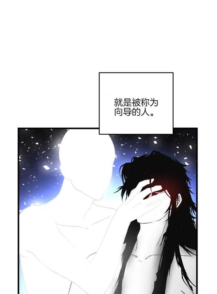 《顶级哨兵在线追妻》漫画最新章节第2话_B级向导免费下拉式在线观看章节第【24】张图片