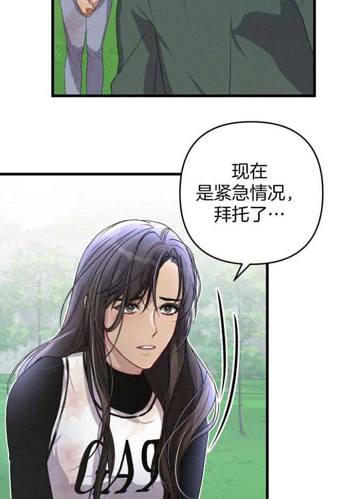 《顶级哨兵在线追妻》漫画最新章节第56话_向导之争免费下拉式在线观看章节第【5】张图片