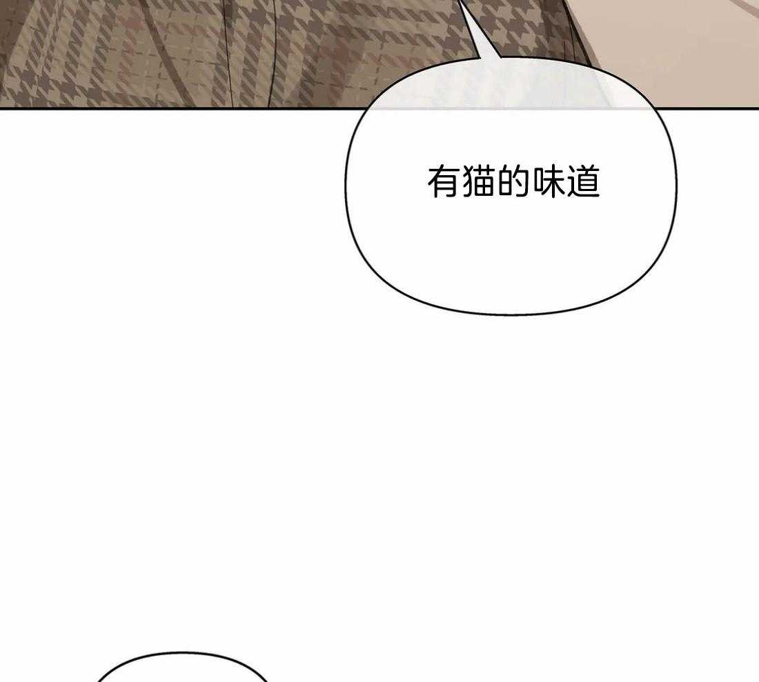 《主人的私情》漫画最新章节第115话_有猫的味道免费下拉式在线观看章节第【26】张图片