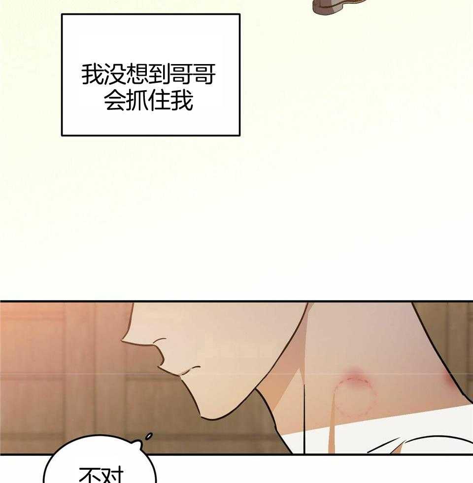 《我的阿尔法主人（共2季）》漫画最新章节第52话_不能怀孕免费下拉式在线观看章节第【25】张图片