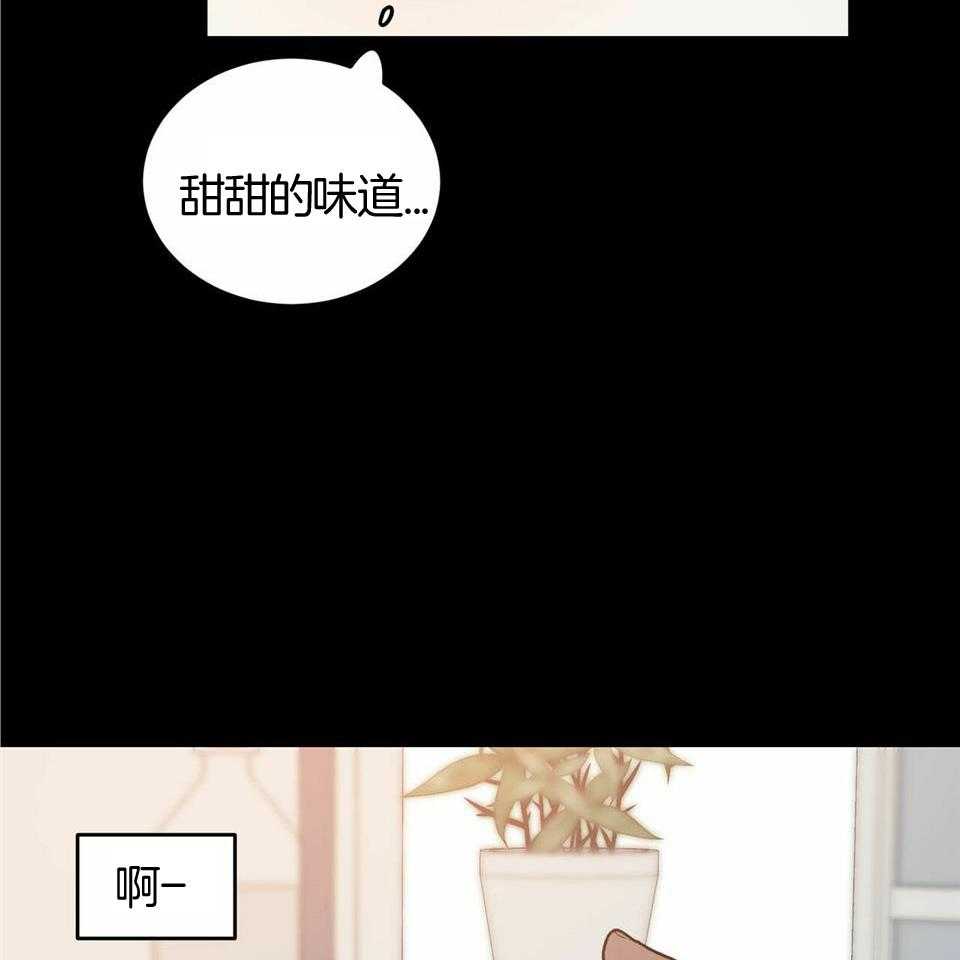 《我的阿尔法主人（共2季）》漫画最新章节第52话_不能怀孕免费下拉式在线观看章节第【46】张图片