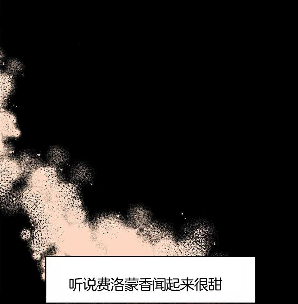 《我的阿尔法主人（共2季）》漫画最新章节第52话_不能怀孕免费下拉式在线观看章节第【37】张图片