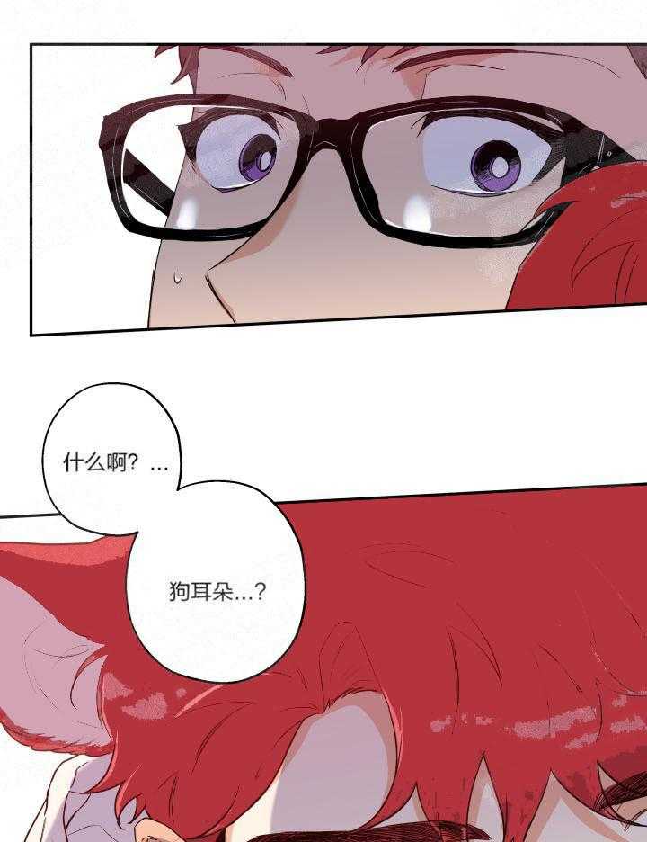 《蠢狼抱枕饲养录》漫画最新章节第14话_耳朵露出来了免费下拉式在线观看章节第【2】张图片