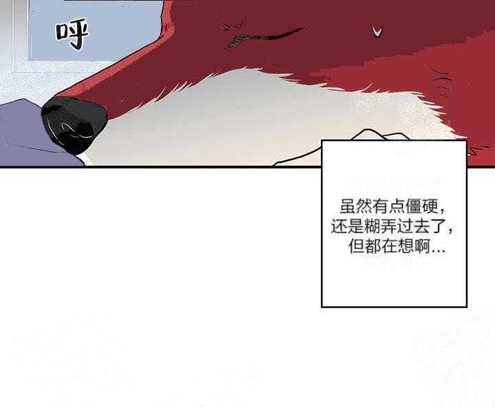 《蠢狼抱枕饲养录》漫画最新章节第4话_发现端倪免费下拉式在线观看章节第【37】张图片