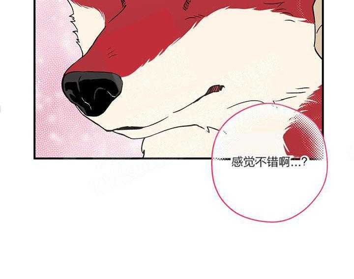 《蠢狼抱枕饲养录》漫画最新章节第3话_这狗真帅免费下拉式在线观看章节第【21】张图片