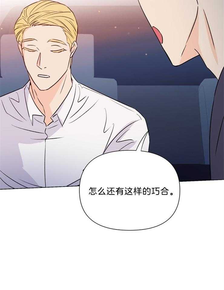 《大佬穿成炮灰小明星后》漫画最新章节第40话_调查免费下拉式在线观看章节第【19】张图片