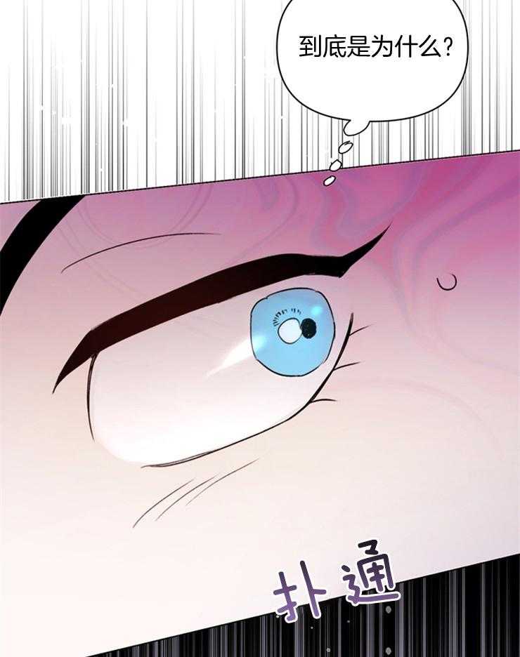 《大佬穿成炮灰小明星后》漫画最新章节第65话_到底是为什么免费下拉式在线观看章节第【5】张图片