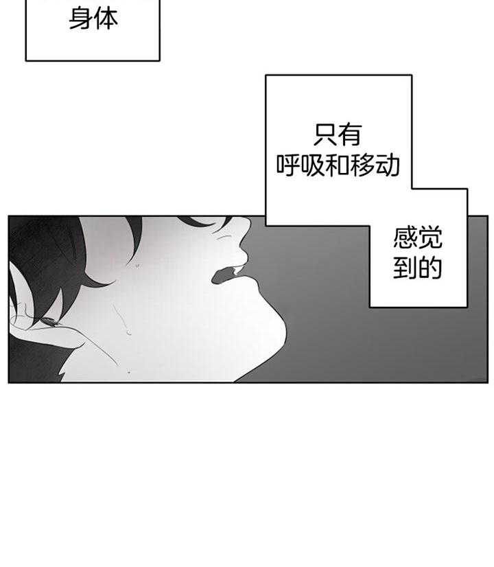 《他的触感》漫画最新章节第97话_好像梦一样免费下拉式在线观看章节第【19】张图片