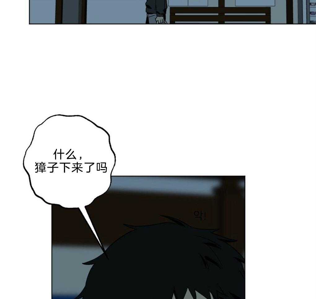 《弟弟总想以下犯上》漫画最新章节第46话_这是什么免费下拉式在线观看章节第【19】张图片