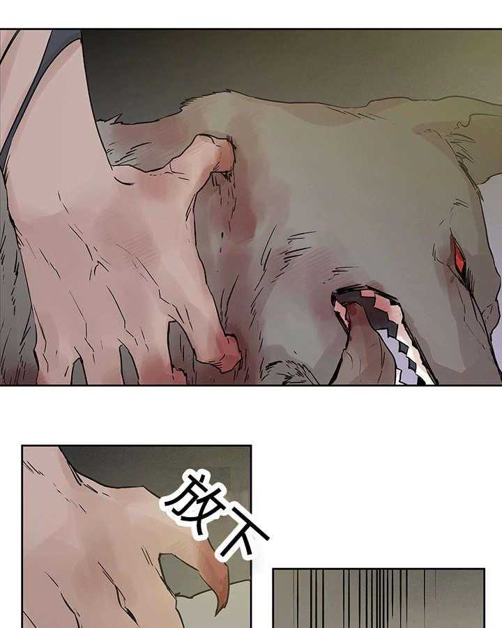 《巫师与狼（全集）》漫画最新章节第5话_主人会怎么做免费下拉式在线观看章节第【35】张图片