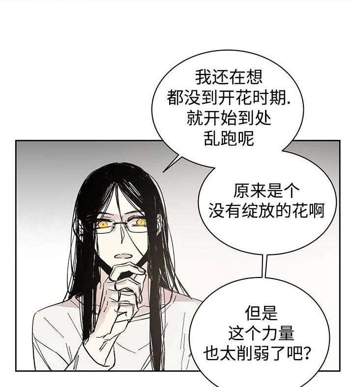 《巫师与狼（全集）》漫画最新章节第15话_我的领地免费下拉式在线观看章节第【19】张图片