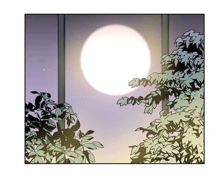 《巫师与狼（全集）》漫画最新章节第24话_哪里听过免费下拉式在线观看章节第【33】张图片