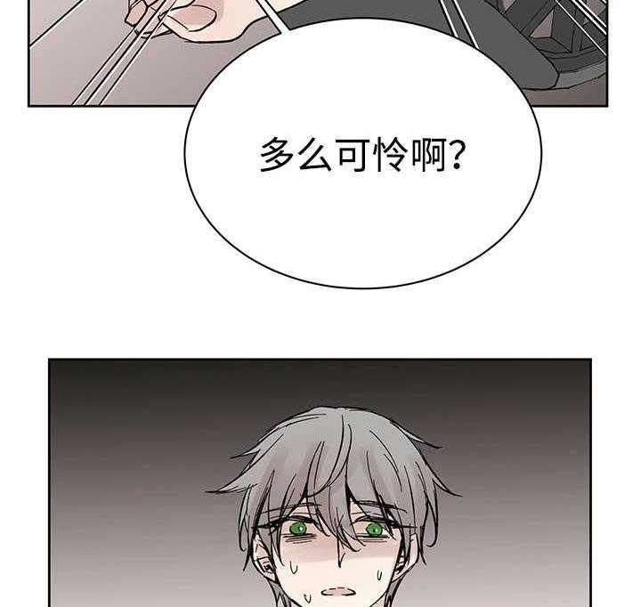 《巫师与狼（全集）》漫画最新章节第30话_断免费下拉式在线观看章节第【9】张图片