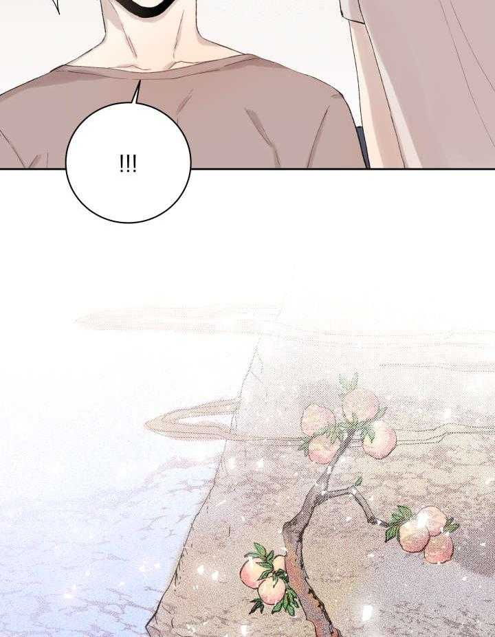 《巫师与狼（全集）》漫画最新章节第34话_刀免费下拉式在线观看章节第【15】张图片