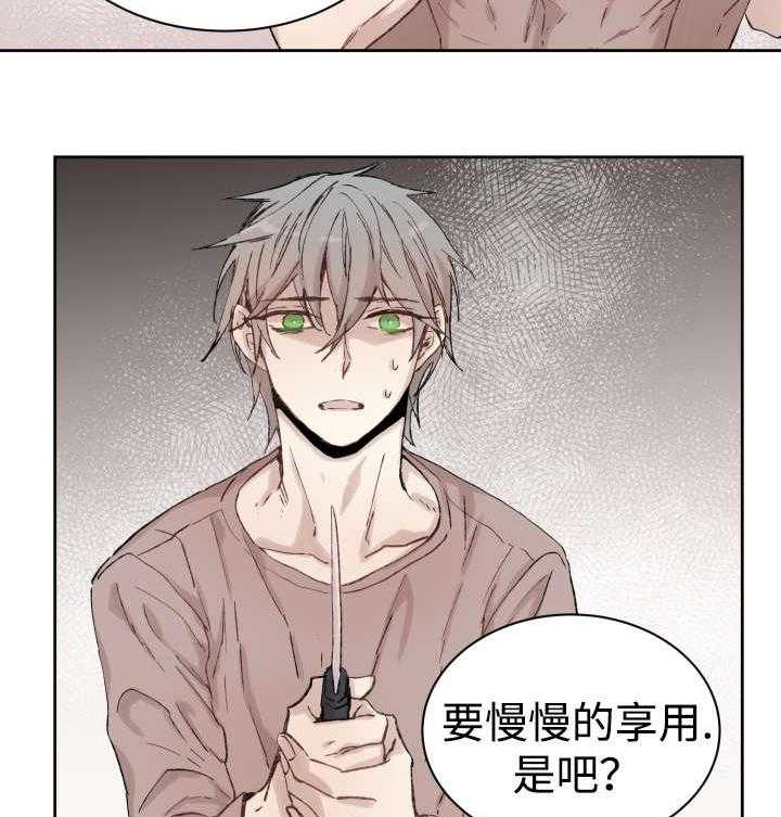 《巫师与狼（全集）》漫画最新章节第35话_难忘的经历免费下拉式在线观看章节第【20】张图片