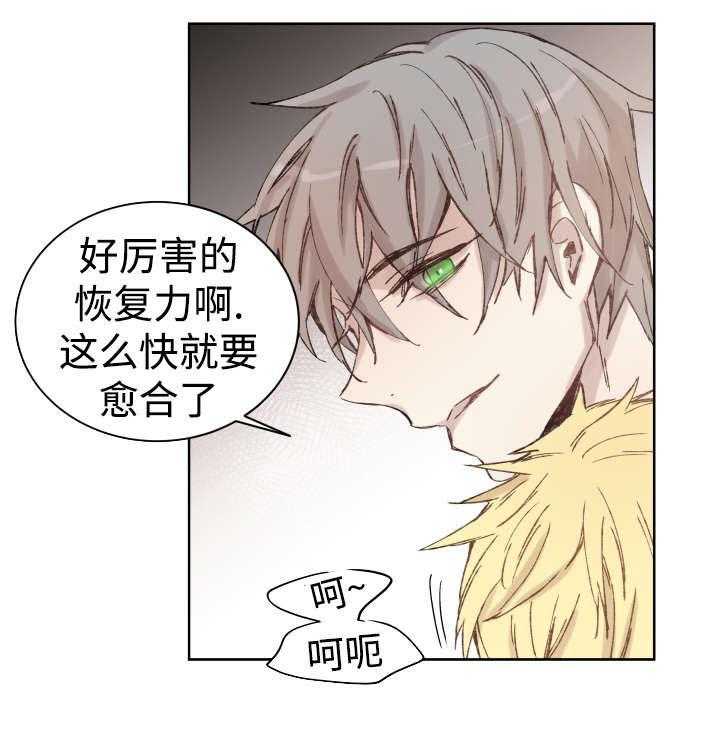 《巫师与狼（全集）》漫画最新章节第35话_难忘的经历免费下拉式在线观看章节第【11】张图片