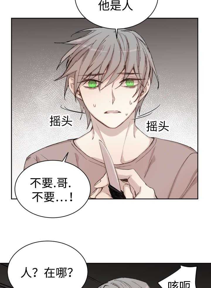 《巫师与狼（全集）》漫画最新章节第35话_难忘的经历免费下拉式在线观看章节第【17】张图片