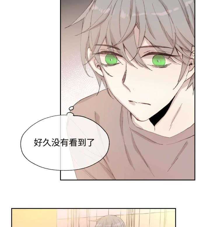 《巫师与狼（全集）》漫画最新章节第36话_药免费下拉式在线观看章节第【20】张图片