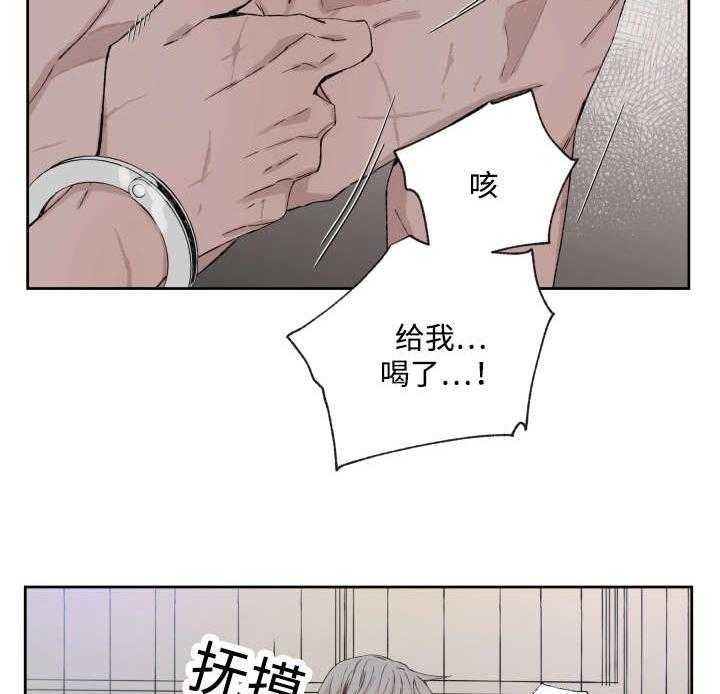 《巫师与狼（全集）》漫画最新章节第36话_药免费下拉式在线观看章节第【4】张图片