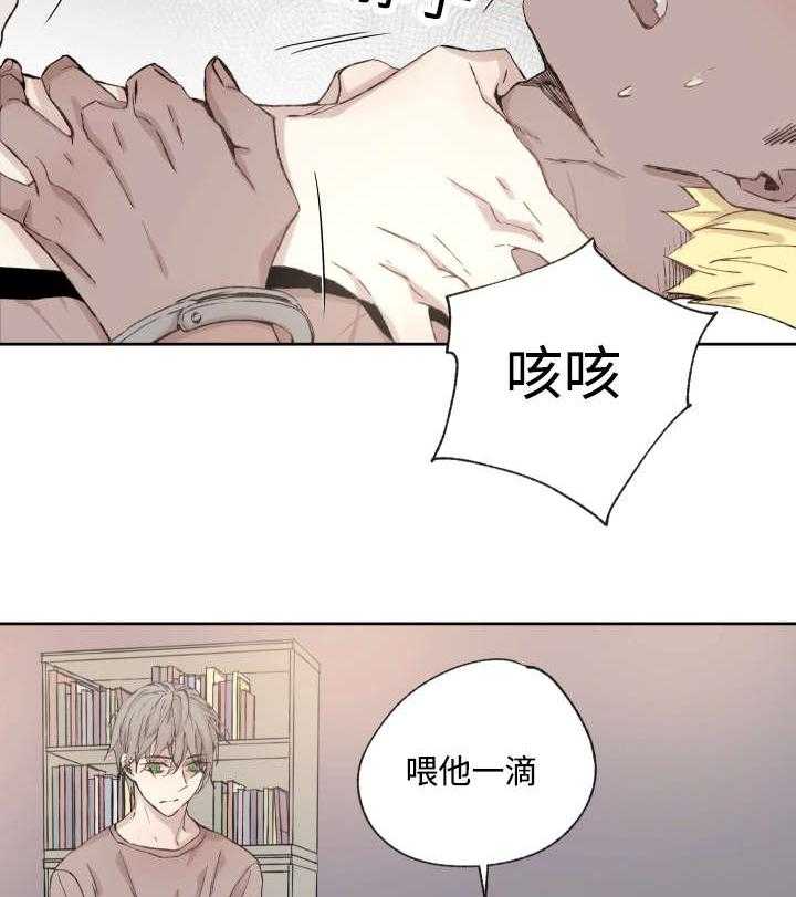 《巫师与狼（全集）》漫画最新章节第36话_药免费下拉式在线观看章节第【10】张图片