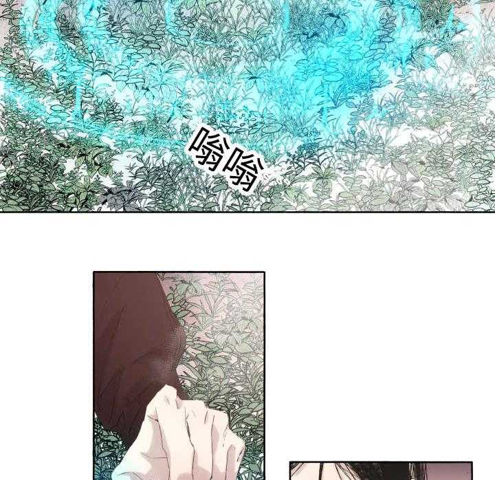 《巫师与狼（全集）》漫画最新章节第37话_充分证明免费下拉式在线观看章节第【17】张图片