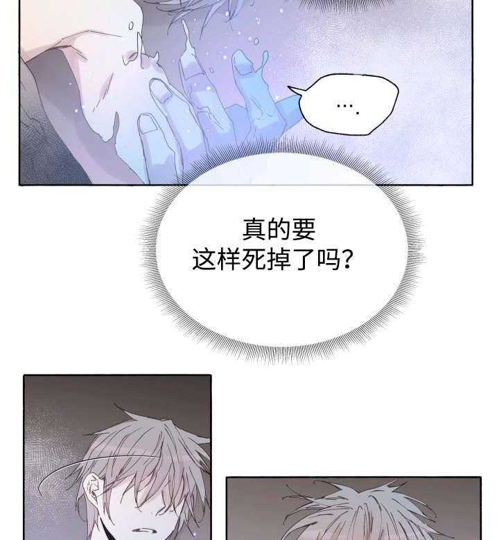 《巫师与狼（全集）》漫画最新章节第41话_为什么会这样免费下拉式在线观看章节第【3】张图片