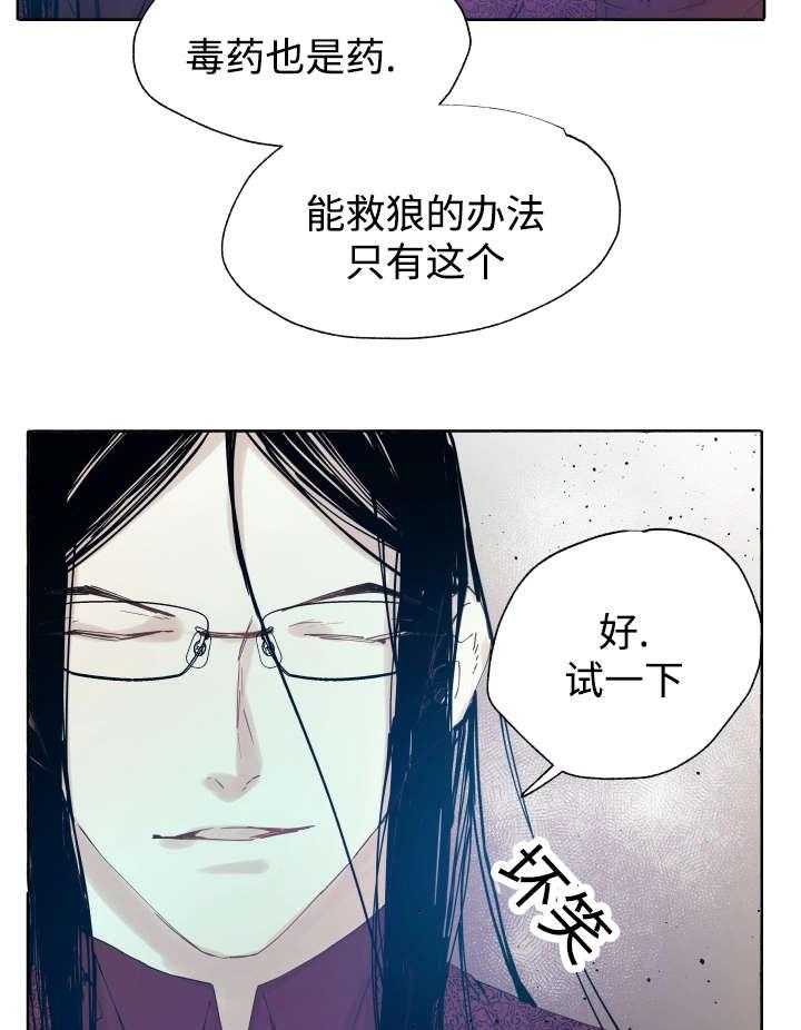 《巫师与狼（全集）》漫画最新章节第41话_为什么会这样免费下拉式在线观看章节第【13】张图片