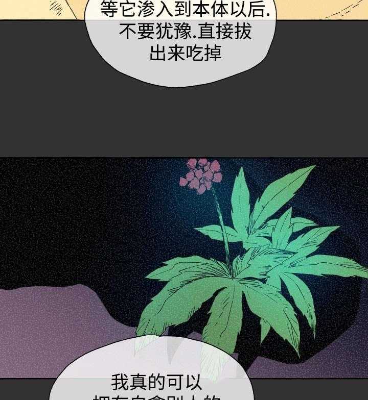 《巫师与狼（全集）》漫画最新章节第44话_吃掉免费下拉式在线观看章节第【11】张图片