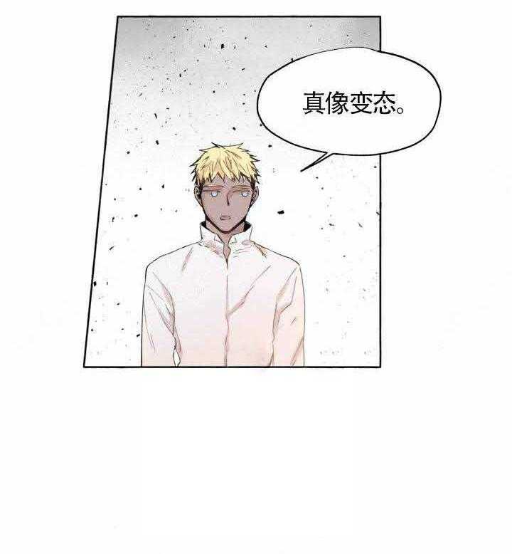 《巫师与狼（全集）》漫画最新章节第49话_药效免费下拉式在线观看章节第【24】张图片