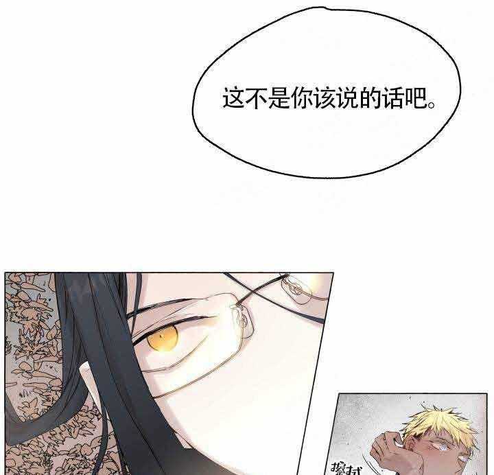 《巫师与狼（全集）》漫画最新章节第49话_药效免费下拉式在线观看章节第【23】张图片