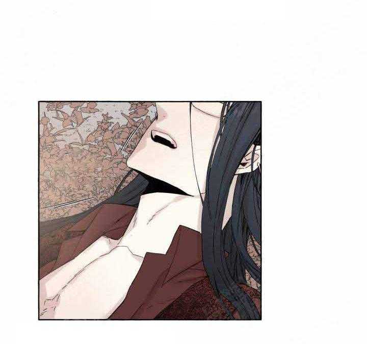 《巫师与狼（全集）》漫画最新章节第49话_药效免费下拉式在线观看章节第【14】张图片